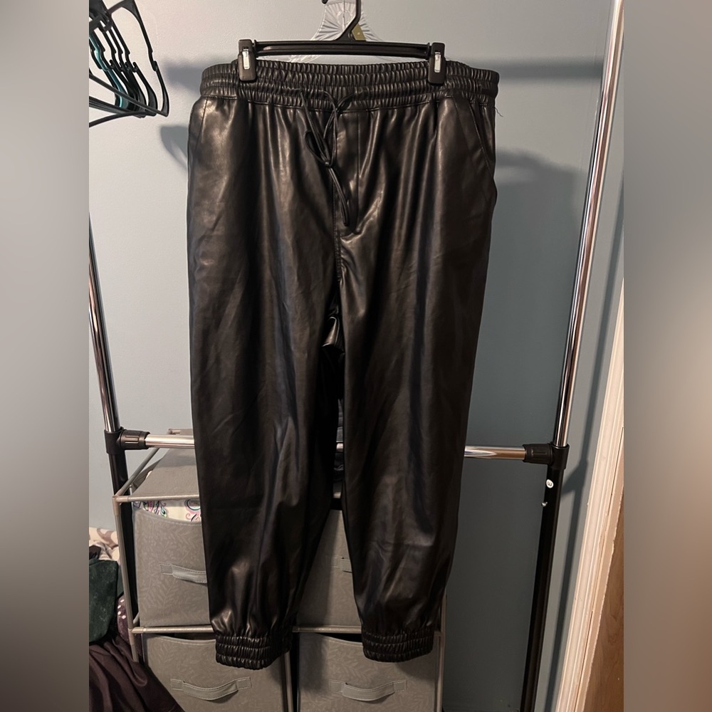Dollhouse faux leather joggers nwot 2x